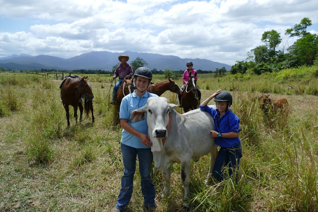 Reinsdown Horse Riding |  | 75 Aerodrome Rd, Tully QLD 4854, Australia | 0436375989 OR +61 436 375 989