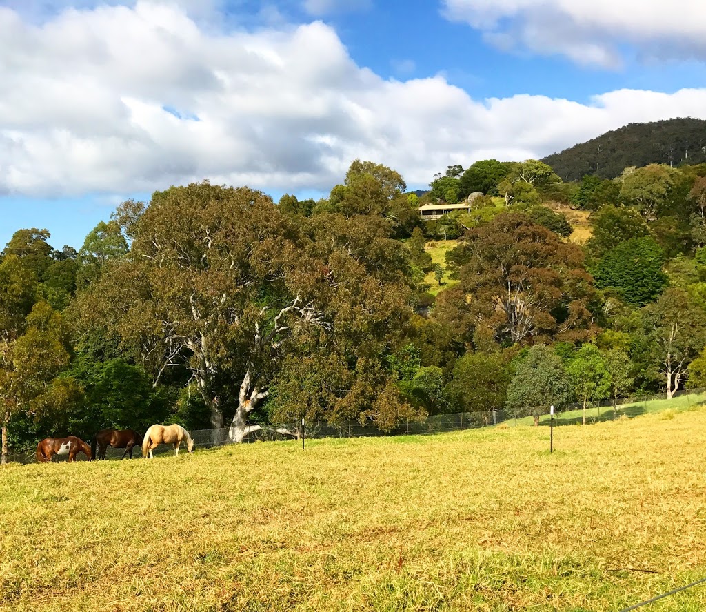 The Horses Gift with Julie Bechu | health | 46 Punkalla Tilba Rd, Central Tilba NSW 2546, Australia | 0430788951 OR +61 430 788 951