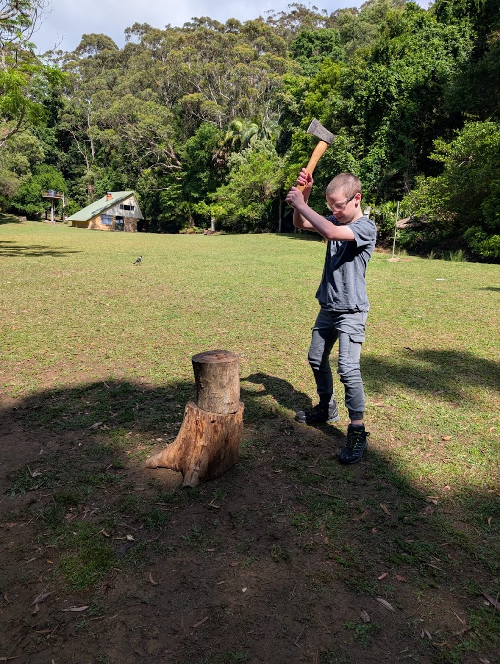 Bush Magic Adventure Therapy | 560 Avondale Rd, Avondale NSW 2530, Australia | Phone: 0428 909 895