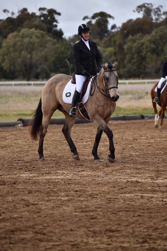 Leeton District Dressage Club | Racecourse Rd, Leeton NSW 2705, Australia | Phone: 0417 419 229