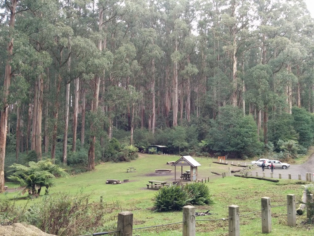 Starlings Gap campground | park | Big Creek Rd, Ada VIC 3833, Australia
