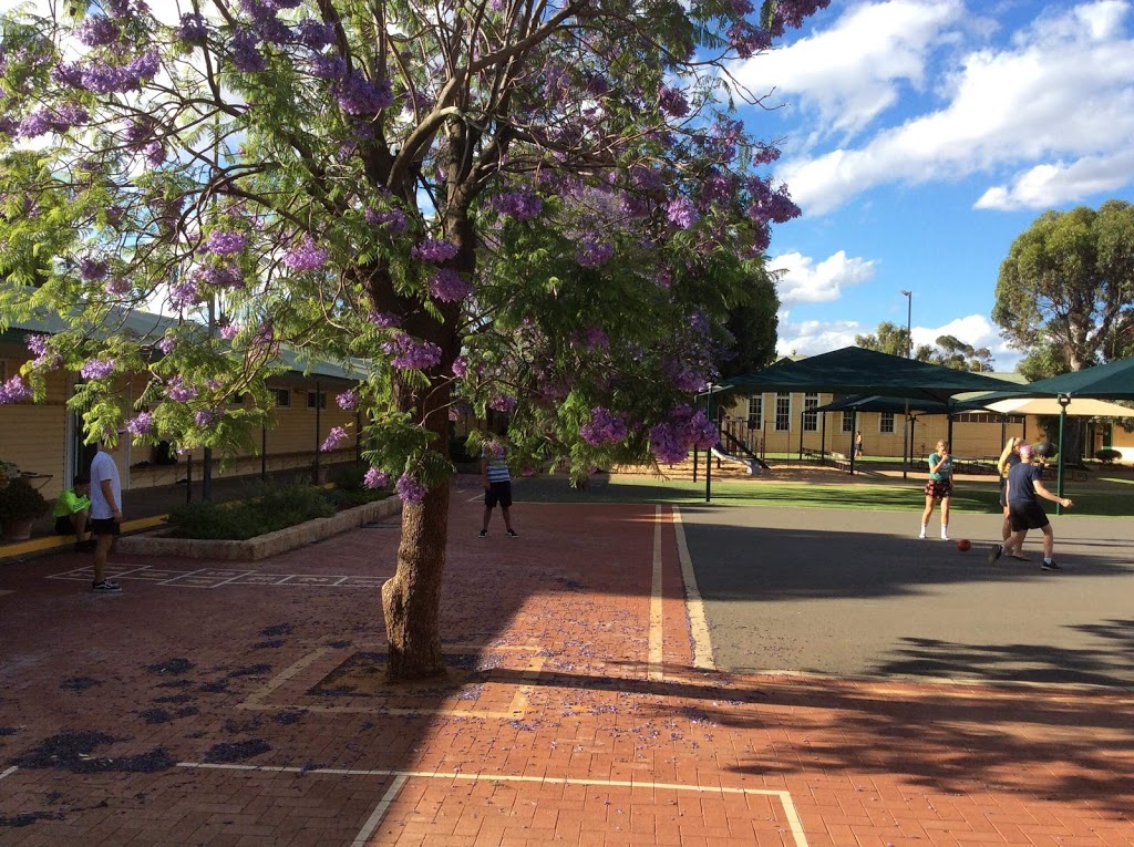 Goldfields Camp School | school | 37/23 Federal Rd, South Kalgoorlie WA 6430, Australia | 0895311177 OR +61 8 9531 1177
