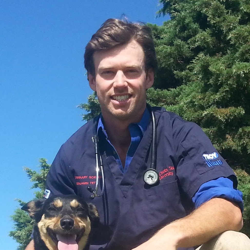 Cobargo Veterinary Services | veterinary care | 300 County Boundary Rd, Cobargo NSW 2550, Australia | 0448634465 OR +61 448 634 465