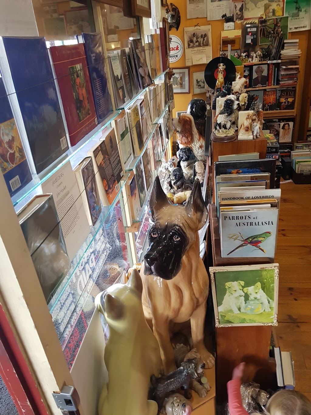 Read Heeler Bookshop | book store | 580 High St, Echuca VIC 3564, Australia | 0354801600 OR +61 3 5480 1600