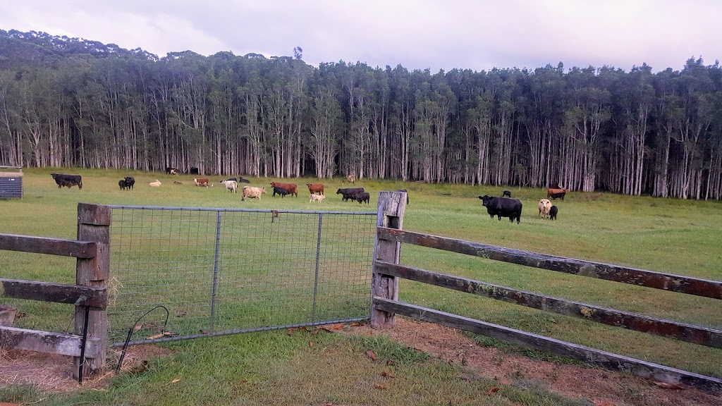 Ponytail Farmhouse | lodging | 3 Wedgewood Dr, Macksville NSW 2447, Australia