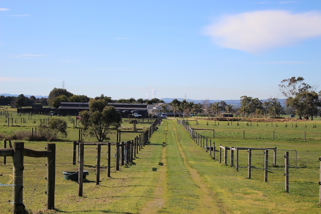 Bollies Oodle Farm Stay | off Yulungah Road, 166 Hillbricks Rd, Trafalgar VIC 3824, Australia | Phone: 0401 510 737