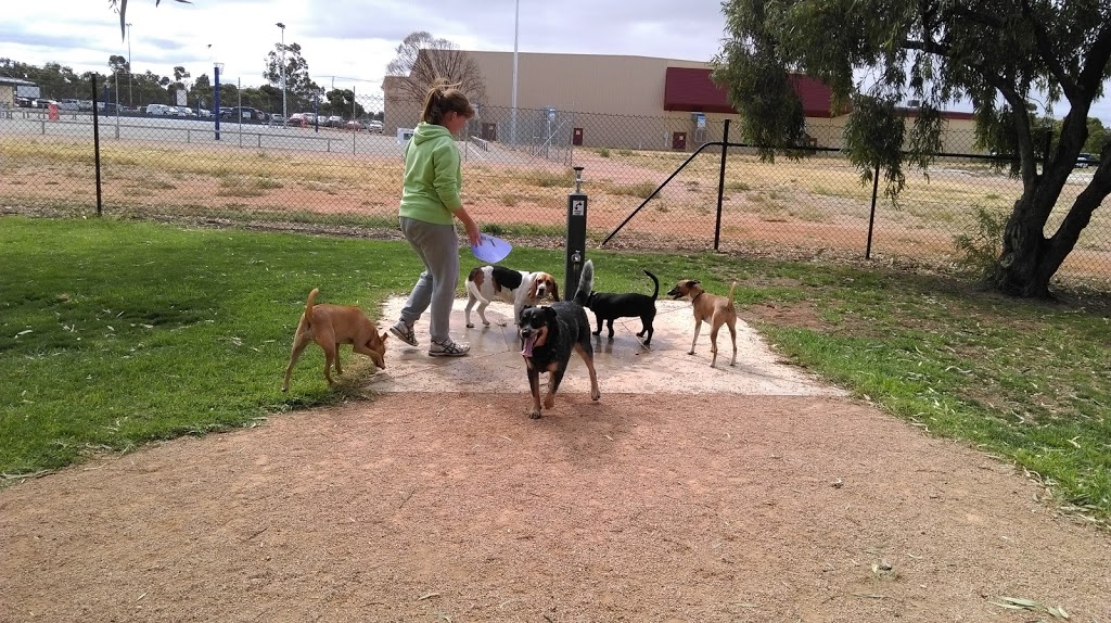 Renmark Dog Park | park | 11/19 Cook St, Renmark SA 5341, Australia