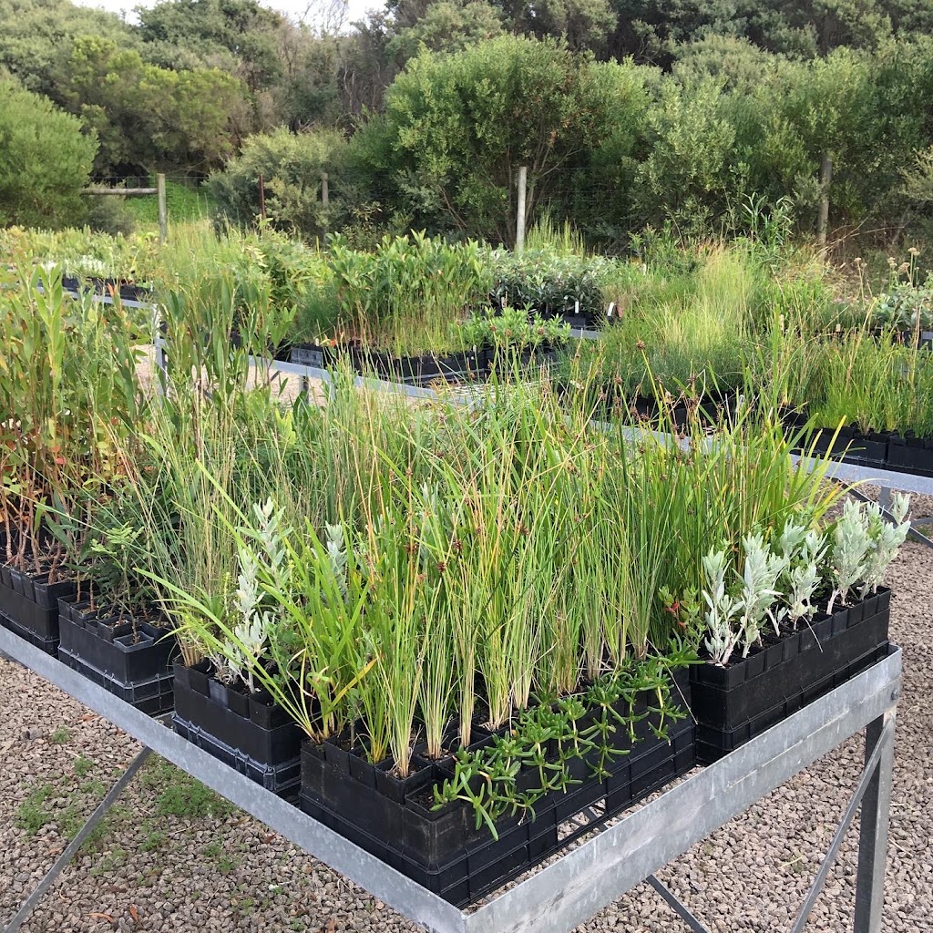 Reforest Australia Bush Nursery | Cape Schanck Rd, Cape Schanck VIC 3939, Australia | Phone: 0450 350 687