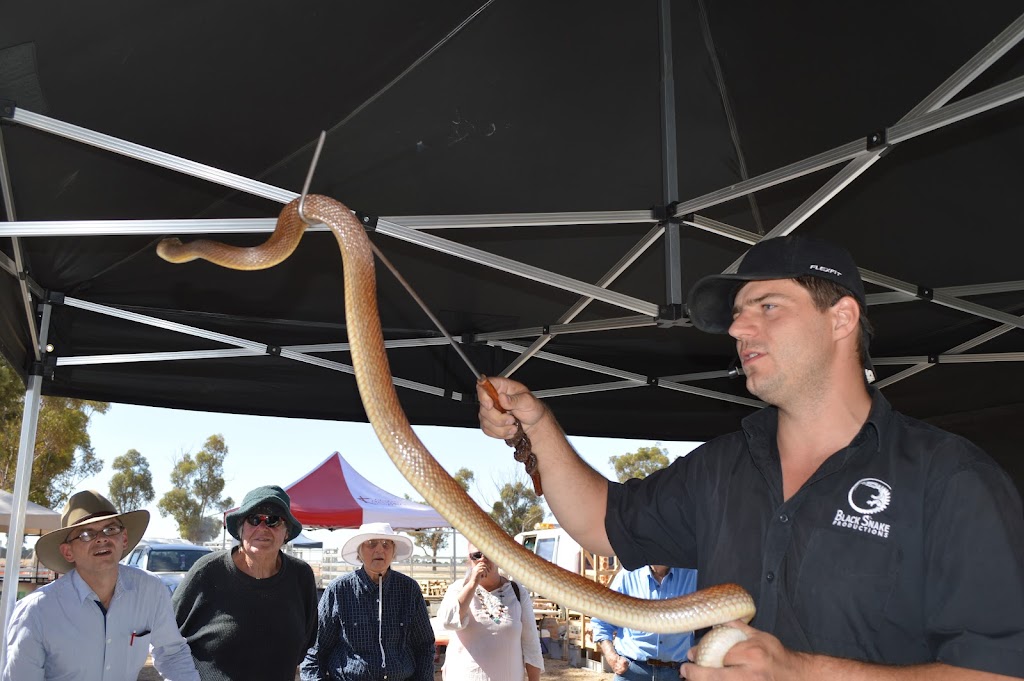 Snake safety | 3455-3457 Warburton Hwy, Warburton VIC 3799, Australia | Phone: 0432 143 228