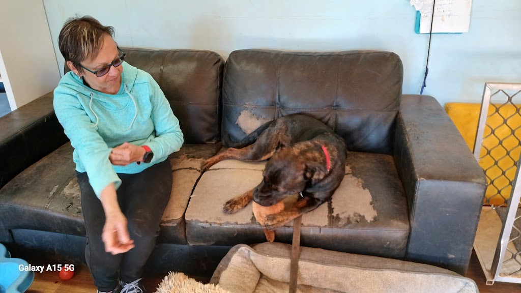 Forever Friends Animal Rescue | PLEASE NOTE: Open by appointment or pre-arrangement only, 680 Hazeldene Rd, Gladysdale VIC 3797, Australia | Phone: 0412 618 718