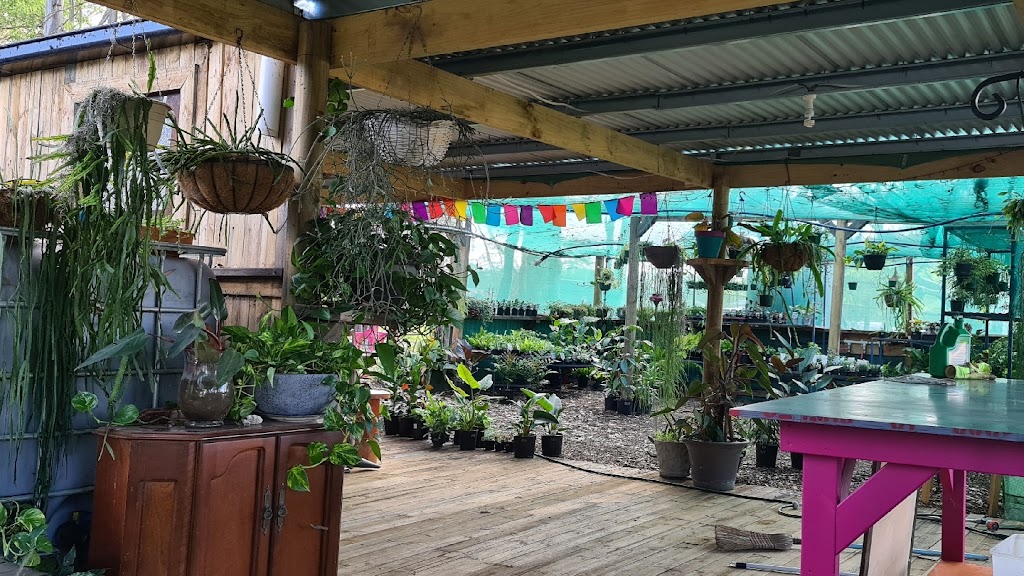 The Wonky Pot Plant Nursery | 259 Averys Ln, Buchanan NSW 2323, Australia | Phone: 0421 852 229