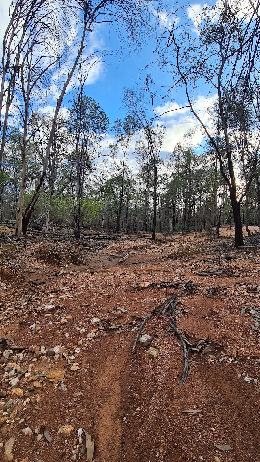 Bathampton General Permission Area | Clermont QLD 4721, Australia | Phone: (07) 4983 1211