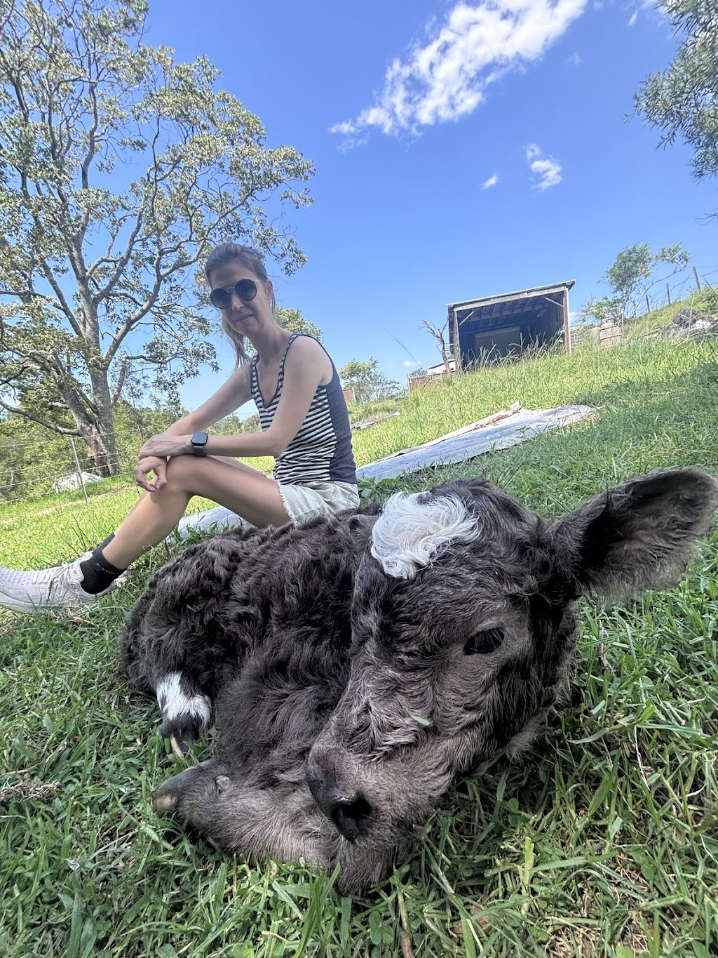 Young Macdonald’s Farm | 121 Flannery Ln, Tapitallee NSW 2540, Australia | Phone: 0412 022 014