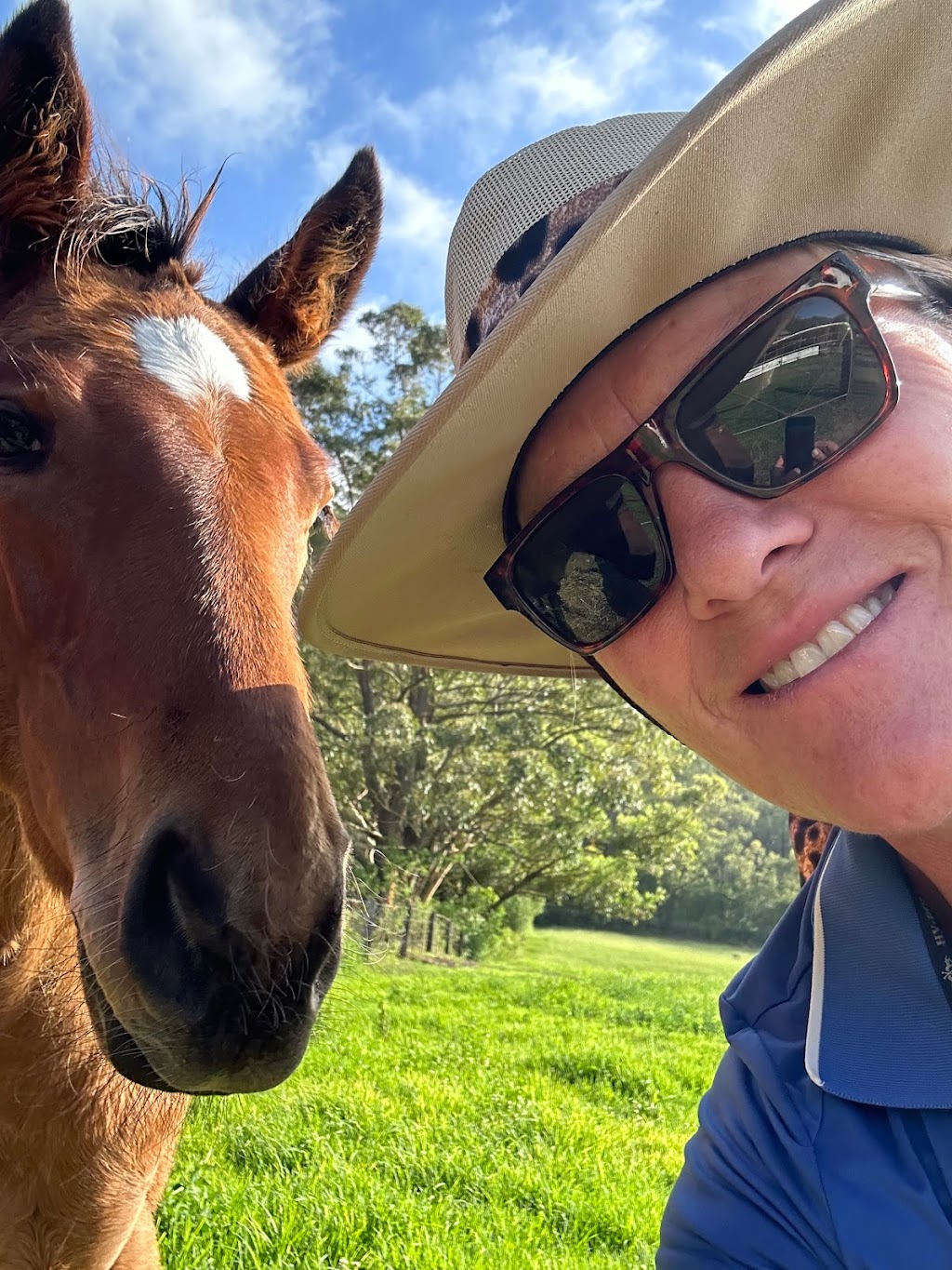 Pearson Equine | 514 Middle Arm Rd, Goulburn NSW 2580, Australia | Phone: 0403 733 125