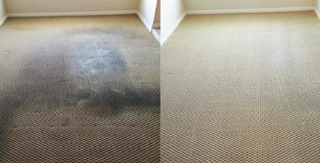 Stargazer Cleaning Services | laundry | Gray St, Mount Gambier SA 5290, Australia | 0479051122 OR +61 479 051 122