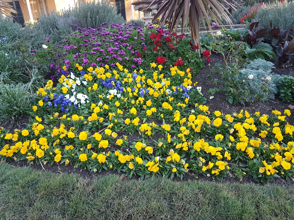 Kormeister and Leistunghund Rottweilers | 13 Francis St, ​SWANSEA HEADS NSW 2281, Australia | Phone: 0410 445 962