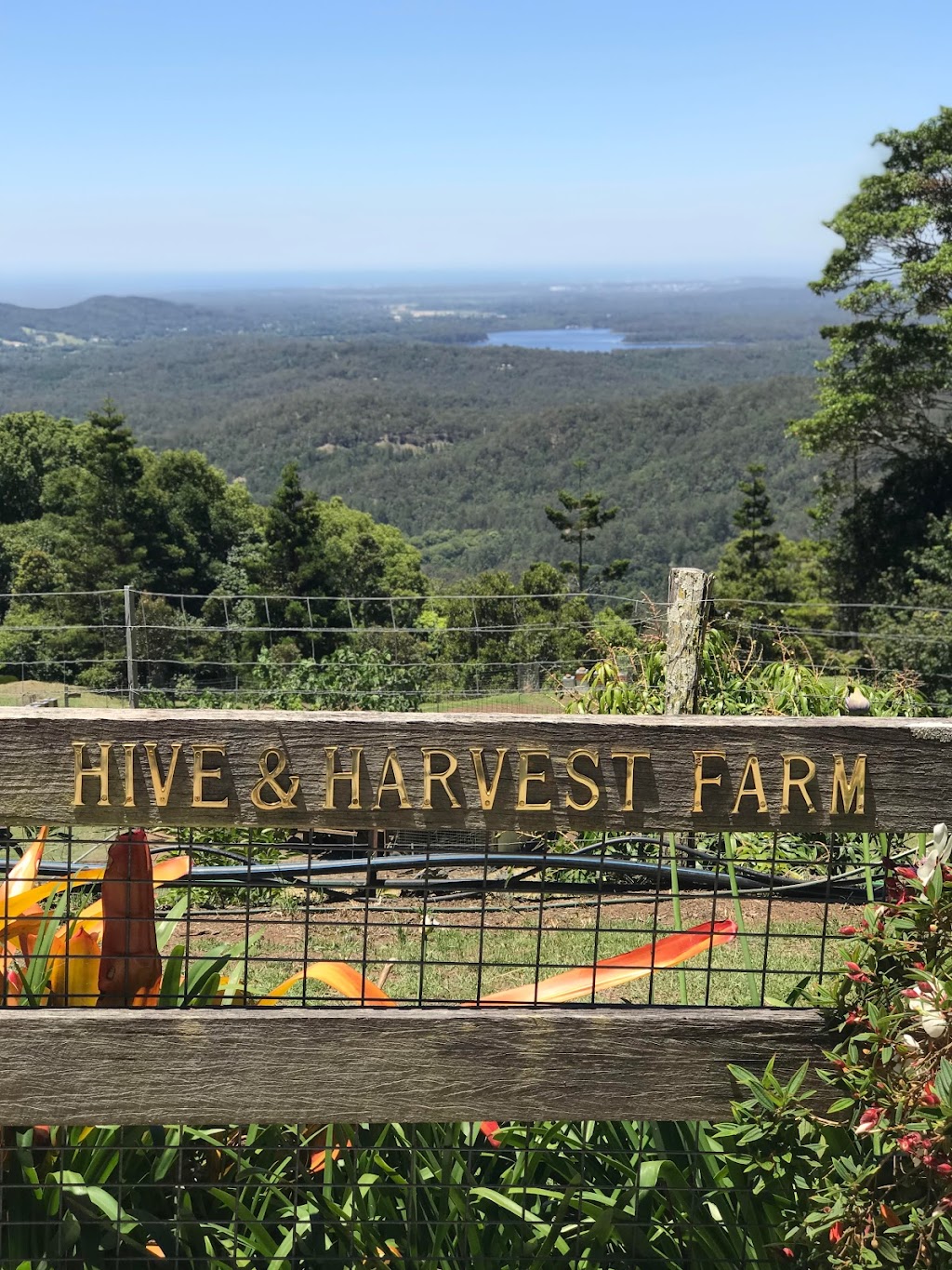 Hive & Harvest | 269 Hovard Rd, Bald Knob QLD 4552, Australia | Phone: 0412 561 508