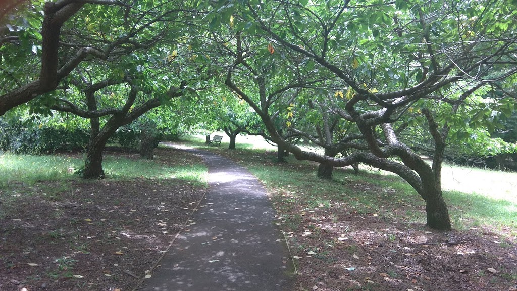 National Rhodedenderon Garden Ornamental Lake | park | Olinda VIC 3788, Australia