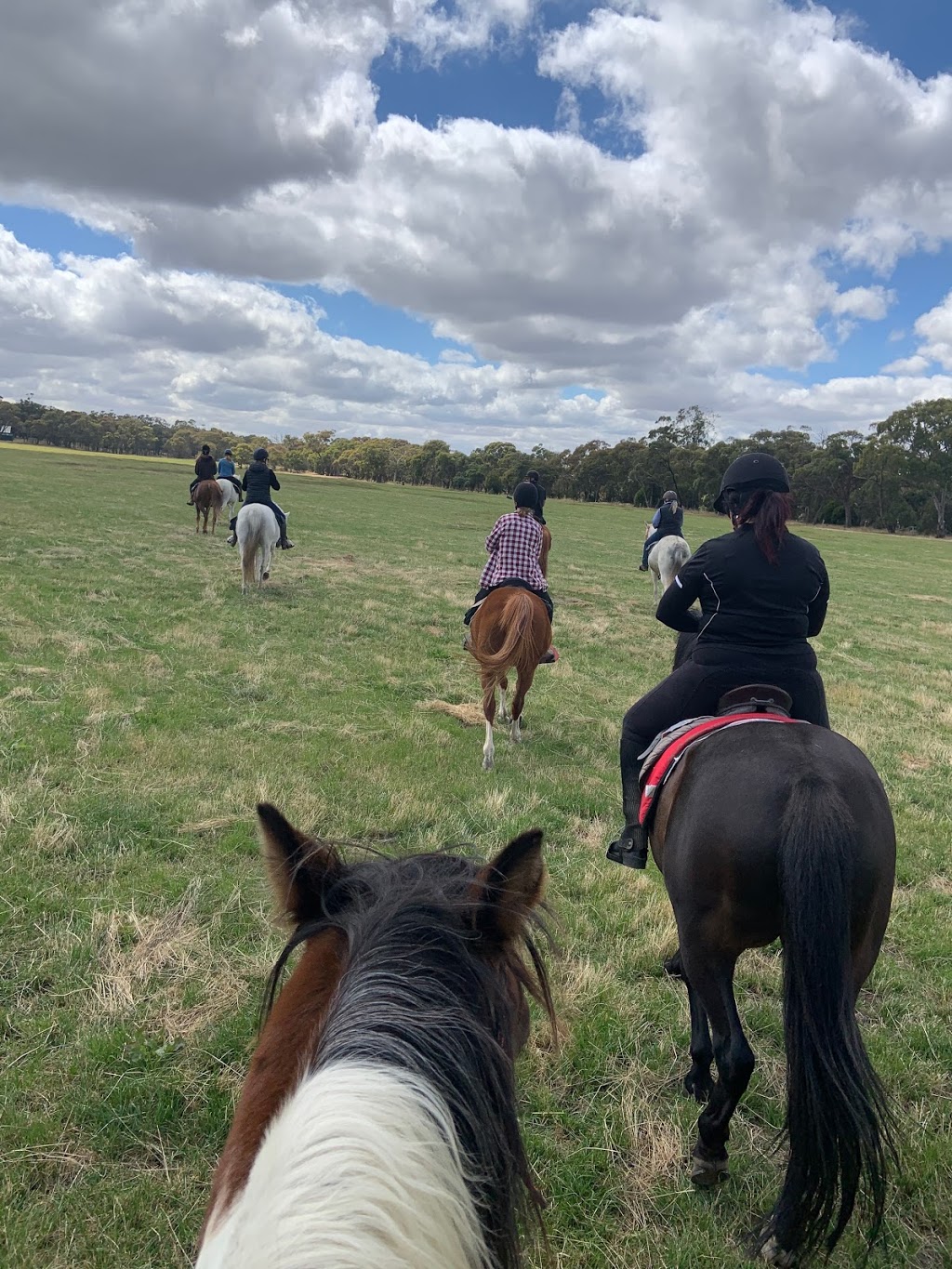 Doran Park Trail Rides | Mt Doran-Egerton Rd, Mount Doran VIC 3334, Australia | Phone: (03) 5341 5588