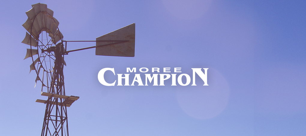 Moree Champion | 12/14 Balo St, Moree NSW 2400, Australia | Phone: (02) 6750 6600