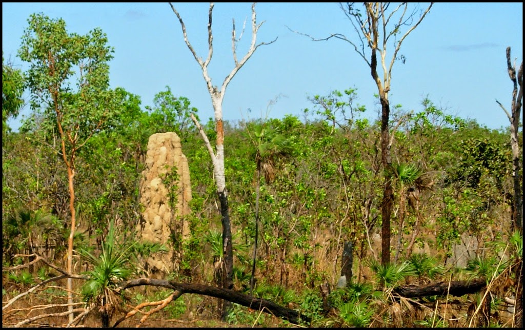 Florence Falls Campground | campground | Litchfield Park NT 0822, Australia