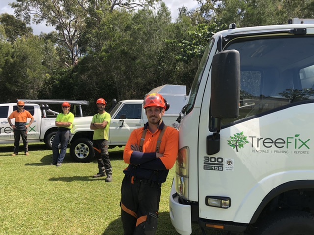 Tree Fix | 212 Wappa Falls Rd, Yandina QLD 4561, Australia | Phone: 0439 724 013