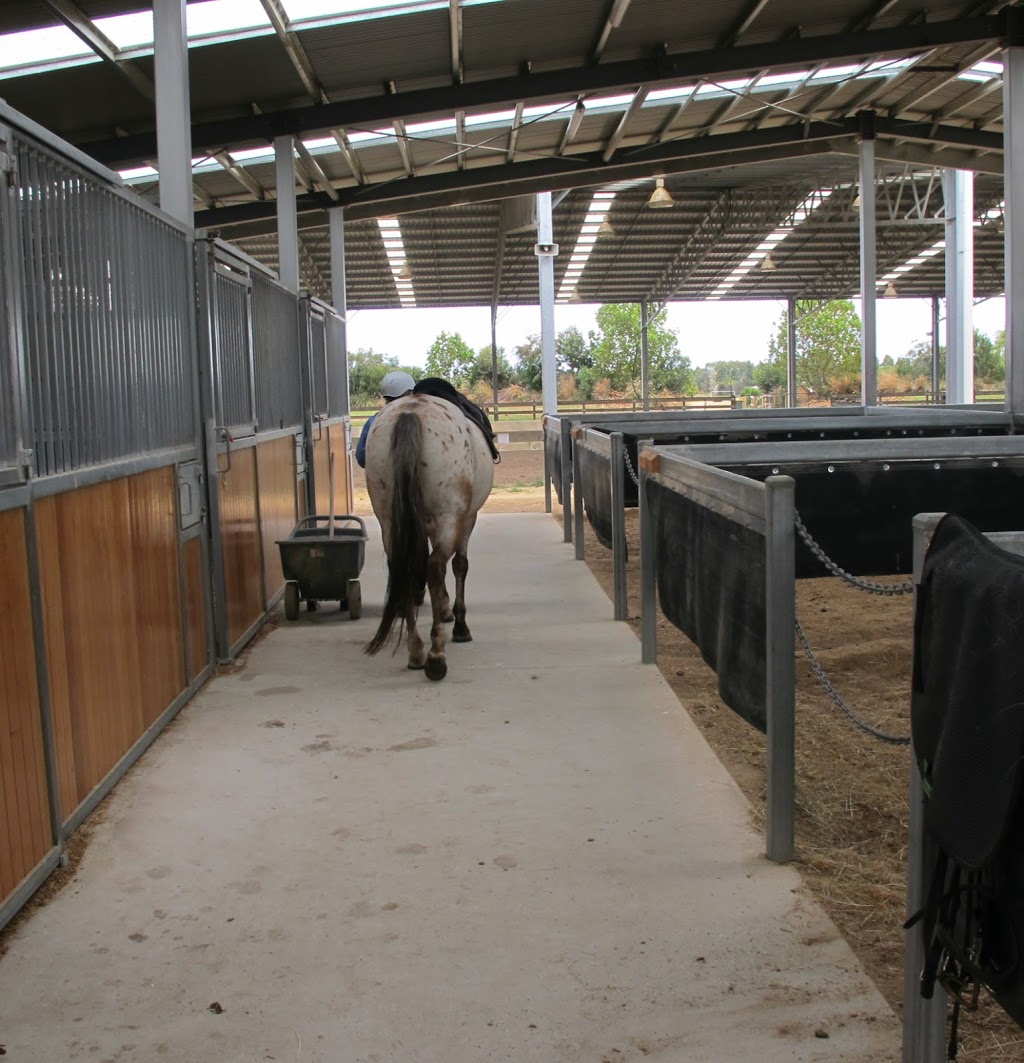 Horse Safety Australia | 6B Old Bull Creek Rd, Strathalbyn SA 5255, Australia | Phone: 0411 685 211