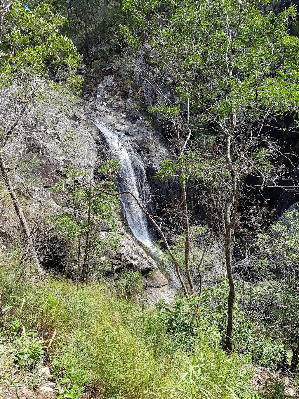 Cedar Creek Falls Retreat | 973 Cedar Creek Rd, Cedar Creek QLD 4520, Australia | Phone: (07) 3289 4551