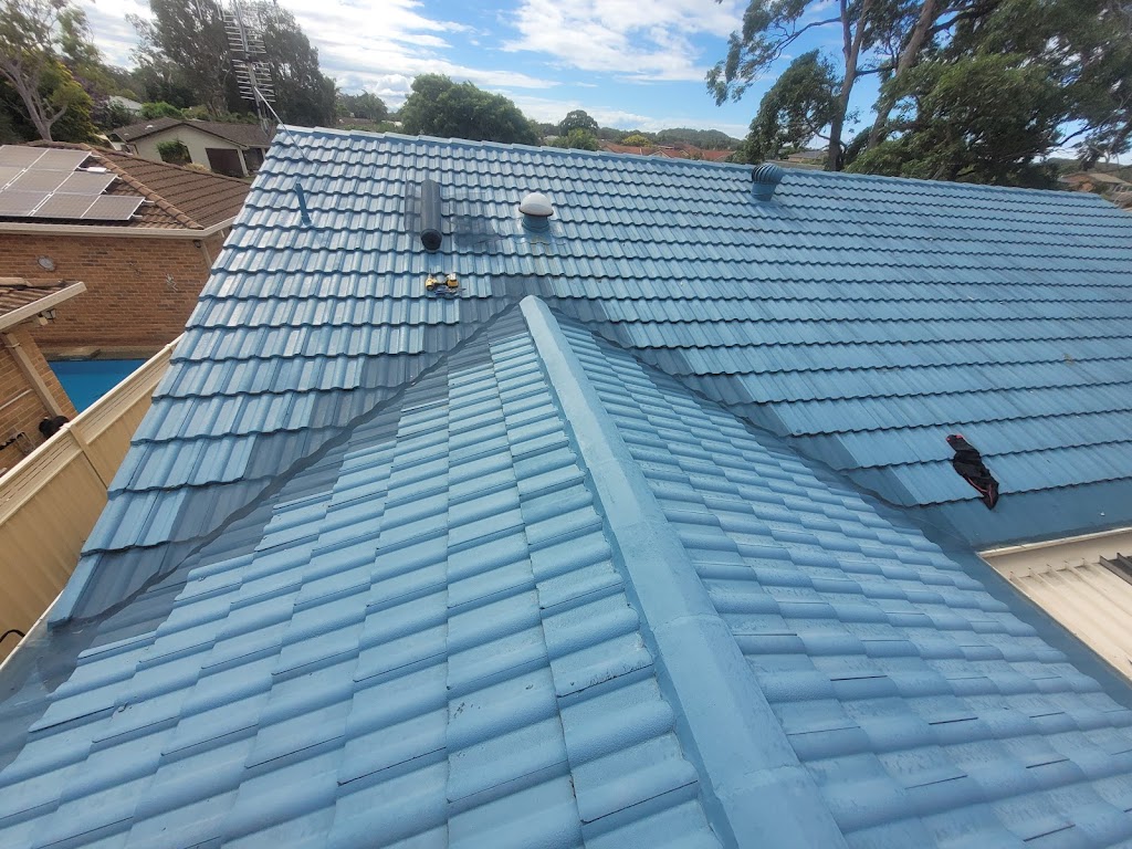 Mackintosh Roof Care | 32 Idlewoods Cres, Rainbow Flat NSW 2430, Australia | Phone: 0491 602 083