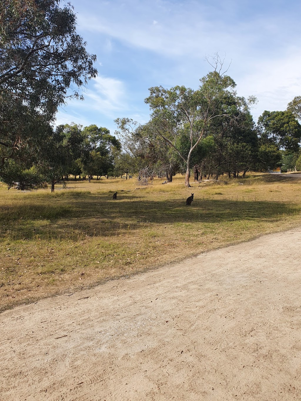 Woodlands Picnic Area | Water Res Within Royal Botanic Gardens, Wylies Creek Track, Cranbourne VIC 3977, Australia | Phone: (03) 5990 2200