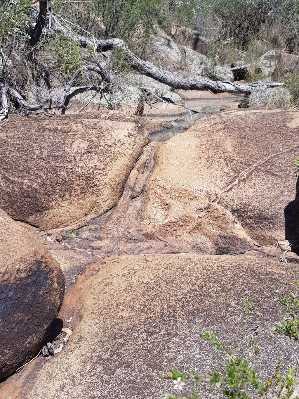 Stonewoman Aboriginal Area | park | Tingha NSW 2369, Australia