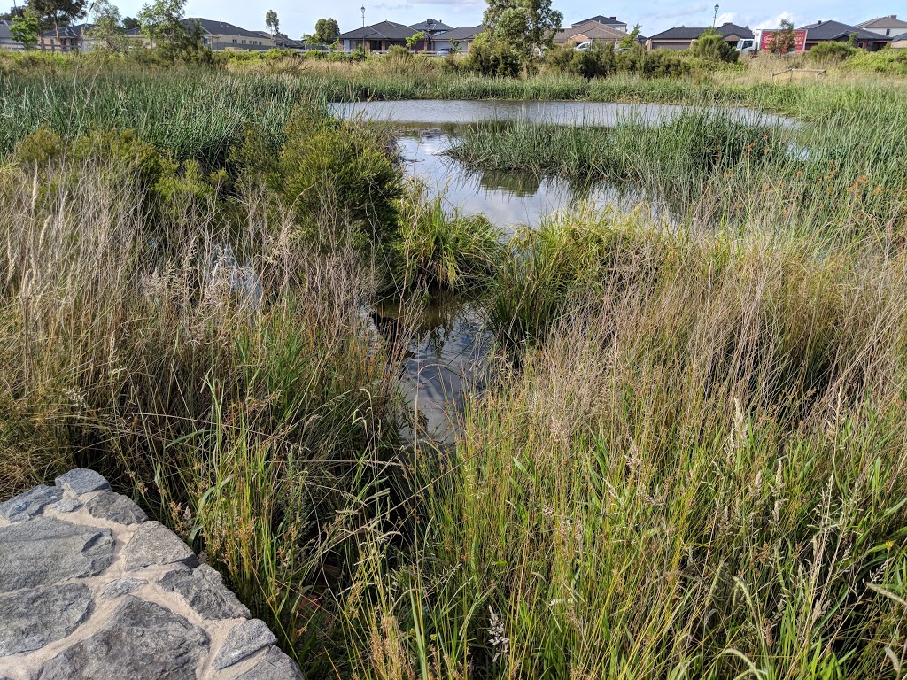 Duck Pond Park | park | 276I Casey Fields Blvd, Cranbourne East VIC 3977, Australia