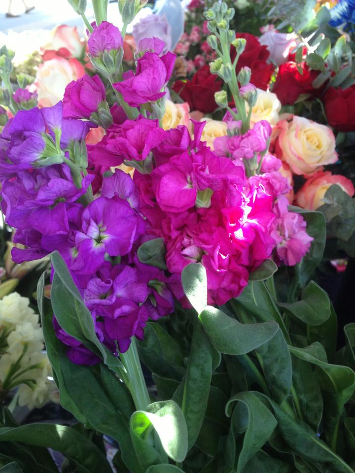 The House of Flowers | florist | 9 Wongable court, Mount Low QLD 4811, Australia | 0407145686 OR +61 407 145 686