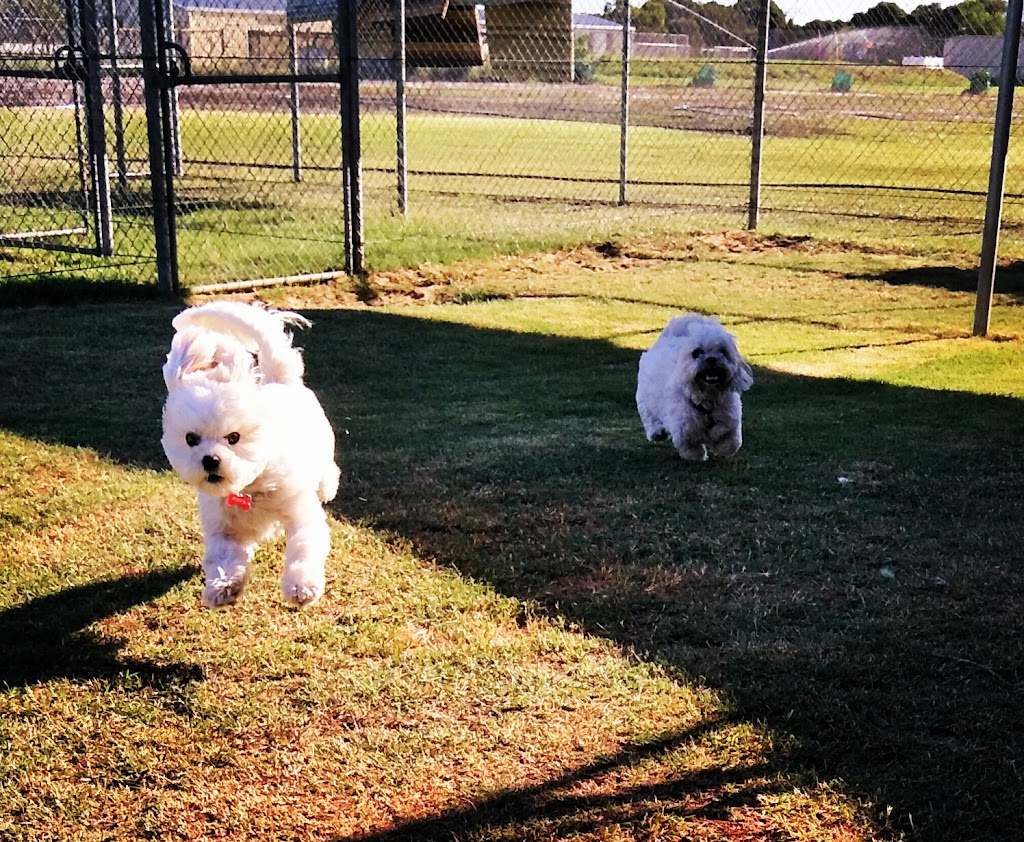 Jessy & Ozzy’s Country Kennels | 121 Greyhound Retreat, Nambeelup WA 6207, Australia | Phone: (08) 9583 4971