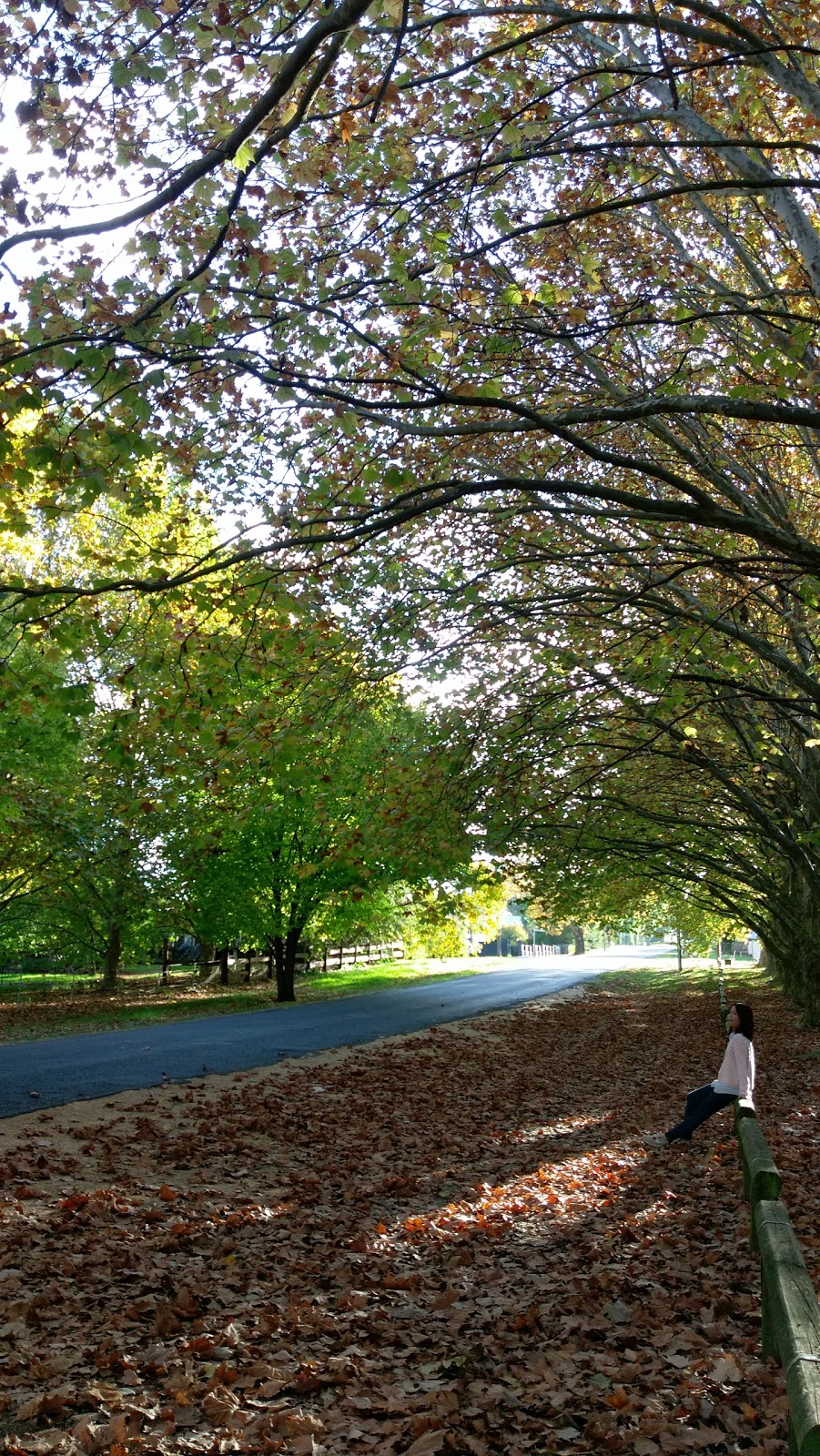 Tenterfield Corps | church | 194 Logan St, Tenterfield NSW 2372, Australia | 0267362869 OR +61 2 6736 2869