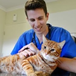 Tin Can Bay Veterinary Surgery | 67 Gympie Rd, Tin Can Bay QLD 4580, Australia | Phone: (07) 5486 4666