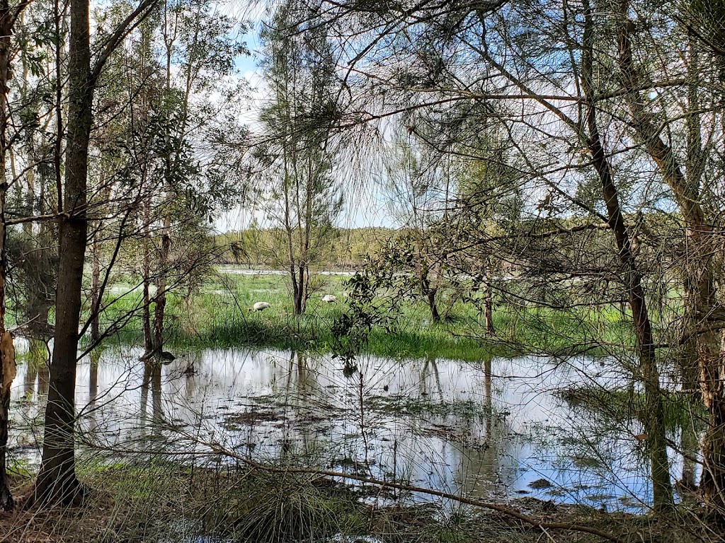 Top Bushworks | 841 Shark Creek Rd, Shark Creek NSW 2464, Australia | Phone: 0452 199 680