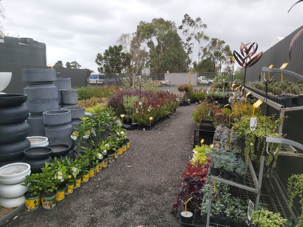 The Plant Guy | 20 Cross Rd, Devon Meadows VIC 3977, Australia | Phone: 0457 081 505