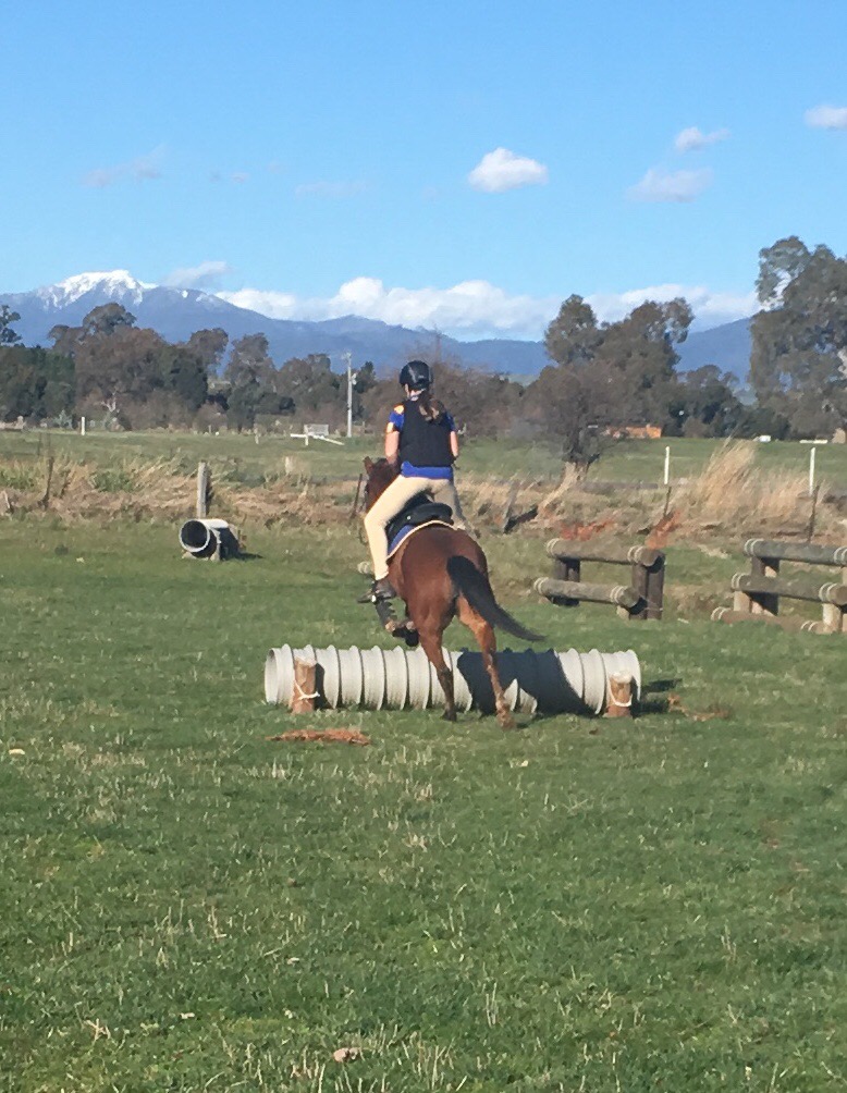 Mansfield Pony Club | Mansfield Showgrounds Mt, Mt Battery Rd, Mansfield VIC 3722, Australia | Phone: 0409 975 531