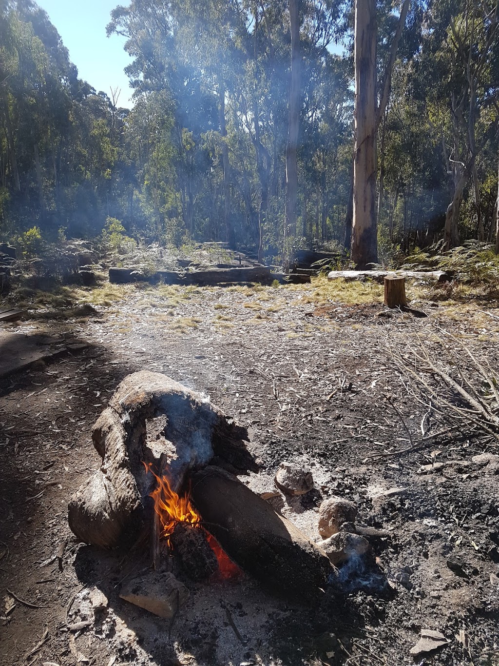 Coree campground | Coree Summit Trail, Uriarra NSW 2611, Australia | Phone: (02) 6229 7166