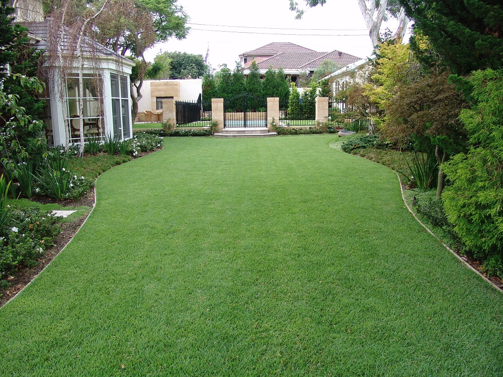 Australian Lawn Concepts | 661 Mundoolun Connection Rd, Boyland QLD 4275, Australia | Phone: 1800 767 644