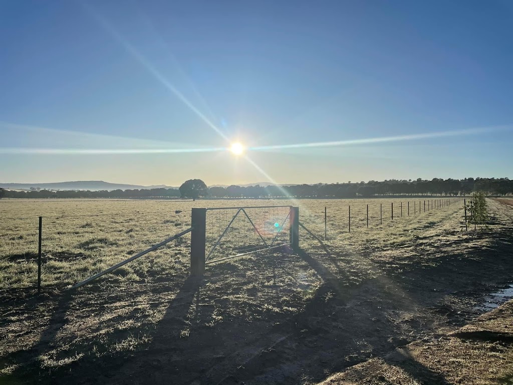 Riverside Fence Contracting | Delatite Ln, Boorolite VIC 3723, Australia | Phone: 0499 544 892