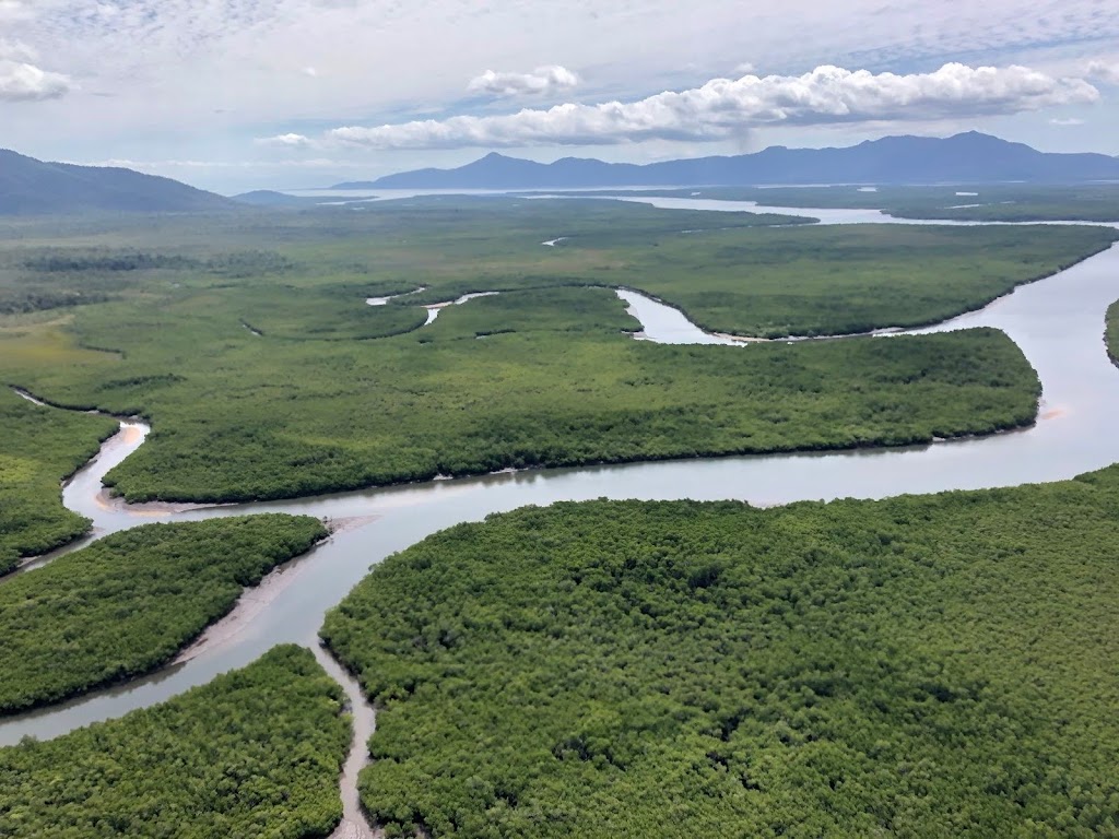 Hinchinbrook Island Ferry | 3 Commercial Drive, Cardwell QLD 4849, Australia | Phone: 0414 869 918