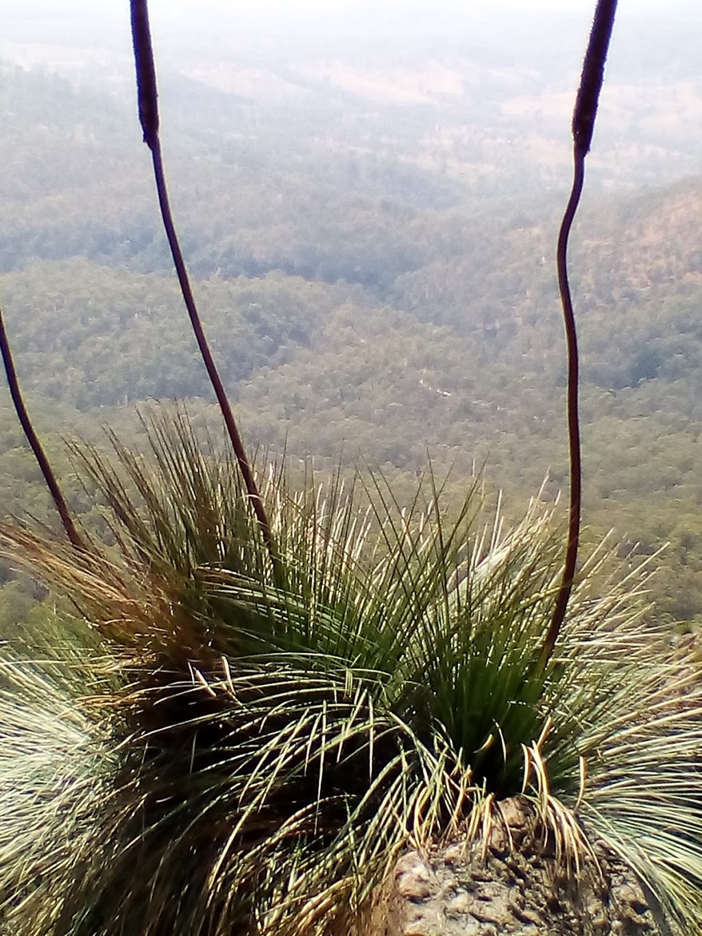 Flinders Peak Conservation Park | park | Peak Crossing QLD 4306, Australia