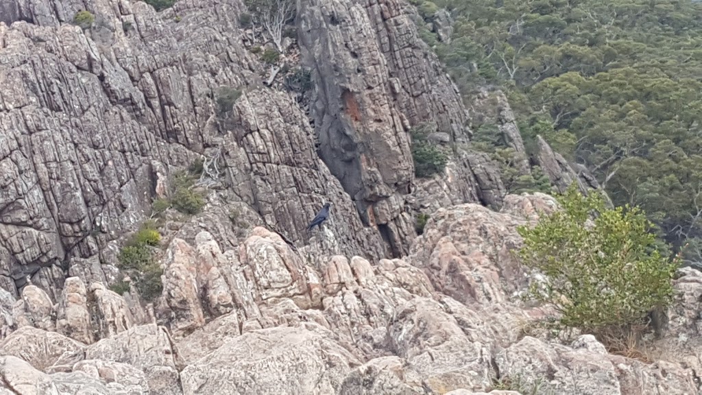 Boronia Peak | tourist attraction | Boronia Trail, Halls Gap VIC 3381, Australia | 0386274700 OR +61 3 8627 4700
