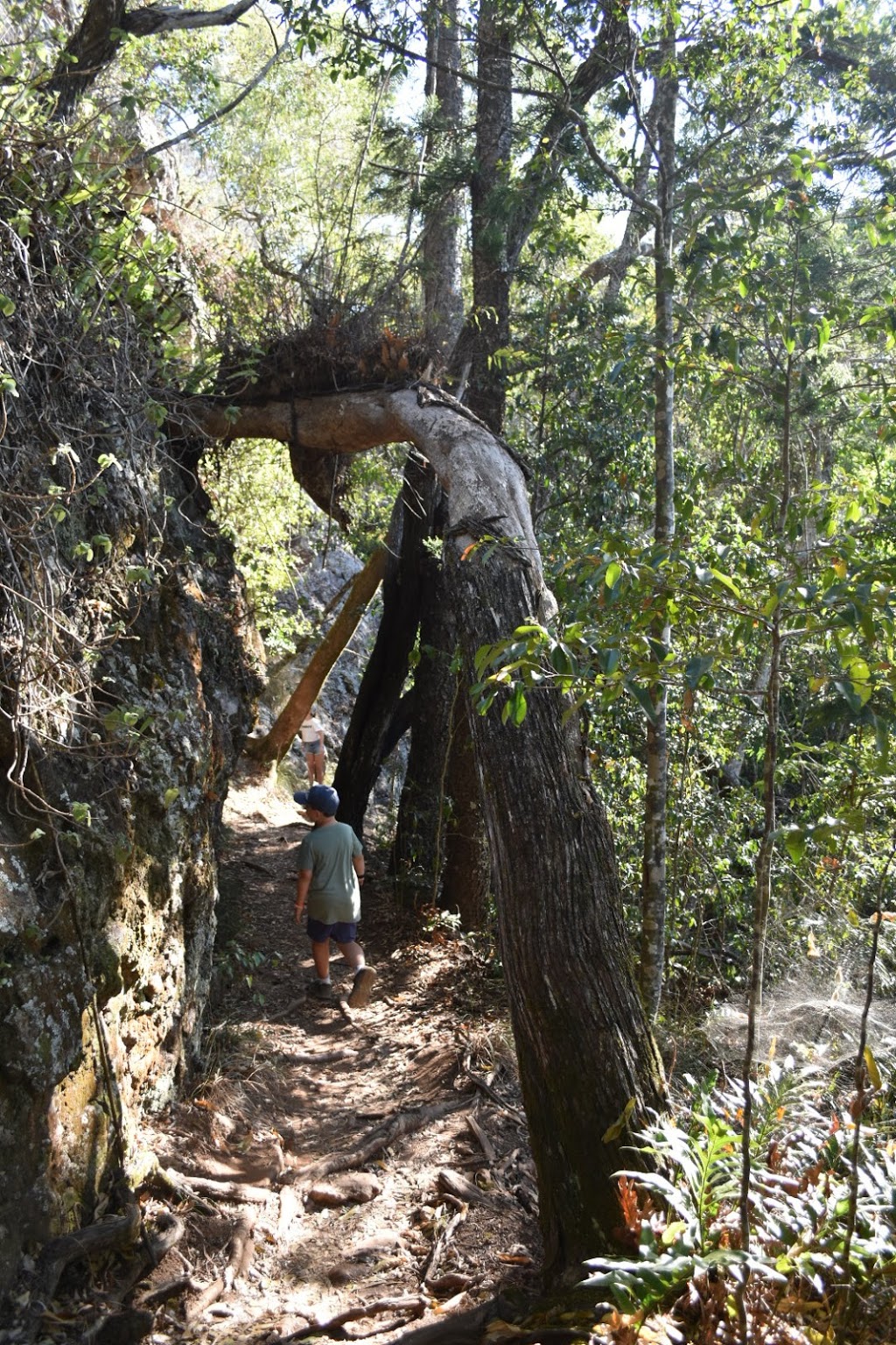 Cape Hillsborough Nature Tourist Park | 51 Risley Parade, Cape Hillsborough QLD 4740, Australia | Phone: (07) 4959 0152