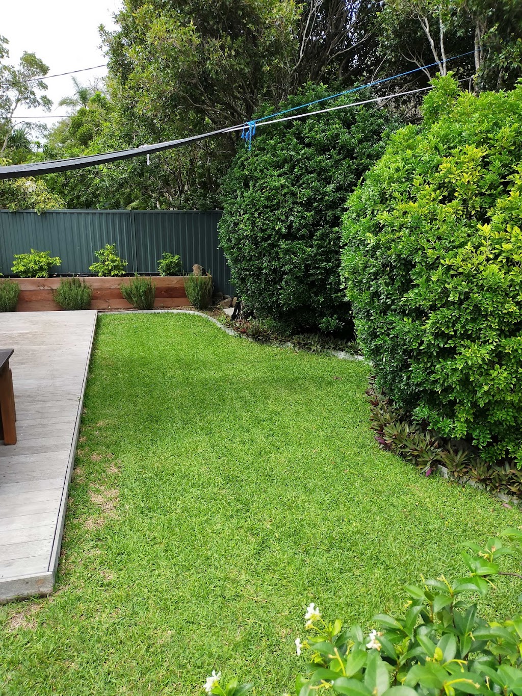 Green Gardens | general contractor | 33 Plantation Dr, Ewingsdale NSW 2481, Australia | 0422257567 OR +61 422 257 567