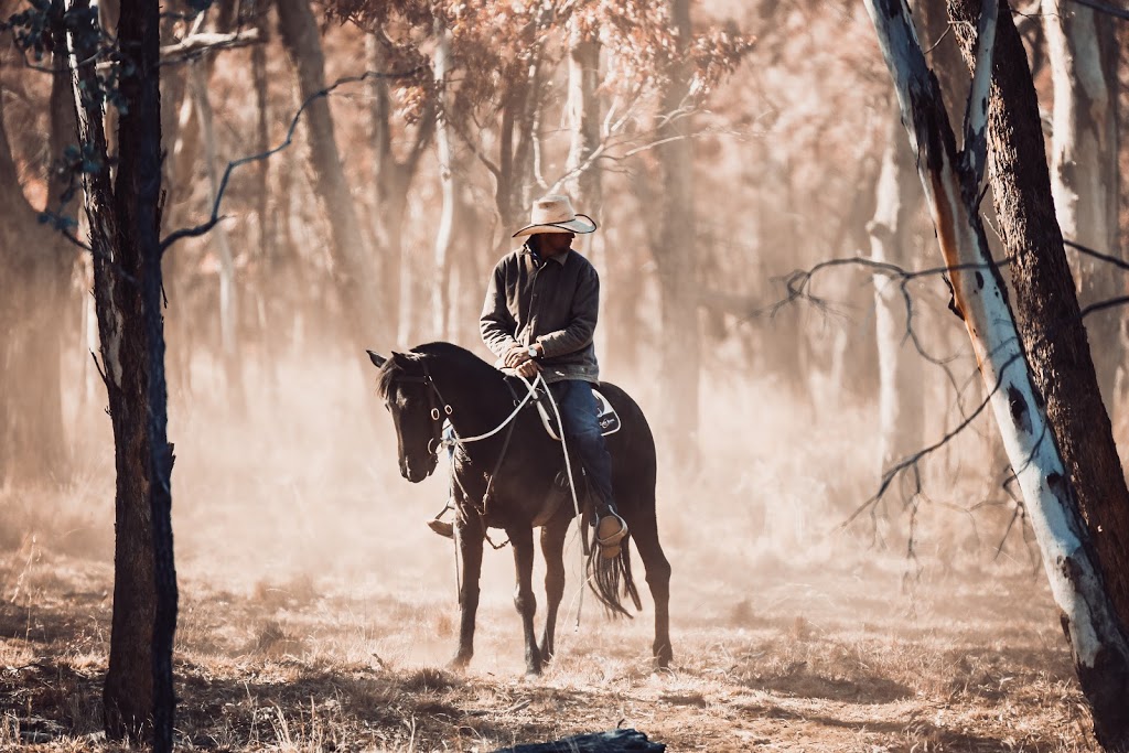 Clunie Range Angus Stud | 458 Coolatai Rd, Wallangra NSW 2360, Australia | Phone: 0427 438 318