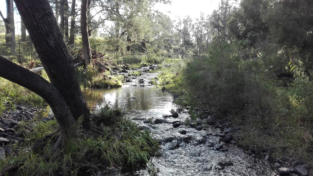 Gleneden Family Farm and Bullock Team | 375 N Branch Rd, Maryvale QLD 4370, Australia | Phone: (07) 4666 1273