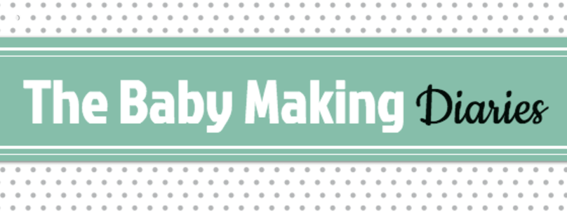 The Baby Making Diaries | clothing store | 4 Amanda St, Upper Coomera QLD 4209, Australia | 0434488146 OR +61 434 488 146
